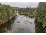 93757 Nabb Ln - Photo 31