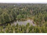 93757 Nabb Ln - Photo 36