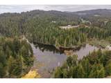 93757 Nabb Ln - Photo 39