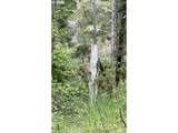 93757 Nabb Ln - Photo 5