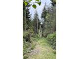 93757 Nabb Ln - Photo 6