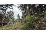 93757 Nabb Ln - Photo 8