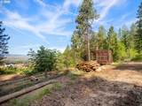 70286 Haefer Ln - Photo 21