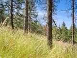 70286 Haefer Ln - Photo 34