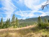 70286 Haefer Ln - Photo 36