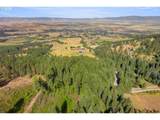 70286 Haefer Ln - Photo 4