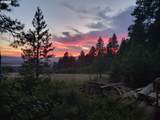 70286 Haefer Ln - Photo 48