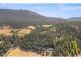 70286 Haefer Ln - Photo 5