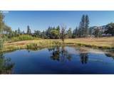  Lot 20 Husum Greens - Photo 30