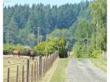11062 172ND Ave - Photo 19