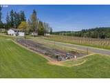 25357 High Pass Rd - Photo 5