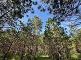  Cedar Mill Rd - Photo 19