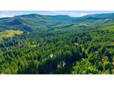 93156 Ewing Rd - Photo 45