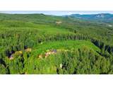 93156 Ewing Rd - Photo 46