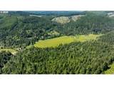 42647 Winberry Creek Rd - Photo 11