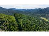 42647 Winberry Creek Rd - Photo 12
