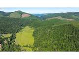 42647 Winberry Creek Rd - Photo 13