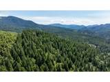 42647 Winberry Creek Rd - Photo 19