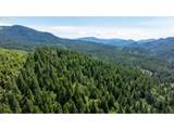 42647 Winberry Creek Rd - Photo 2