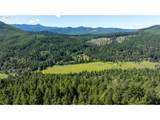 42647 Winberry Creek Rd - Photo 3