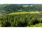 42647 Winberry Creek Rd - Photo 8
