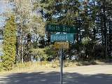  Fiddleback Rd - Photo 12