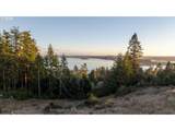  Fiddleback Rd - Photo 4