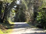  Fiddleback Rd - Photo 9