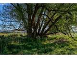  Upper Diamond Lane - Photo 13