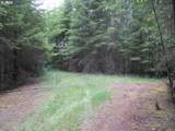 00 Gruber South Rd - Photo 15