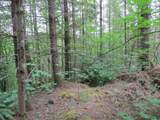 00 Gruber South Rd - Photo 17