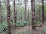 00 Gruber South Rd - Photo 3