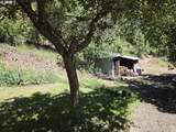 58994 Upper Imnaha Rd - Photo 5