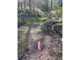6933 Barbara Welch Rd - Photo 16