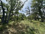  Columbia Hills Ln - Photo 14