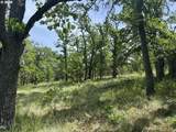  Columbia Hills Ln - Photo 15