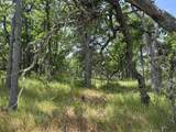 Columbia Hills Ln - Photo 17