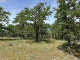  Columbia Hills Ln - Photo 20