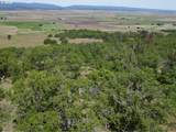  Columbia Hills Ln - Photo 23