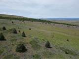  Columbia Hills Ln - Photo 28