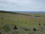  Columbia Hills Ln - Photo 29