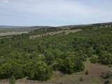  Columbia Hills Ln - Photo 30