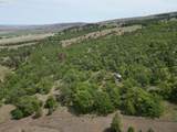  Columbia Hills Ln - Photo 34