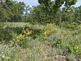  Columbia Hills Ln - Photo 7
