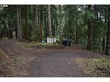 1221 Tenmile - Photo 38