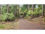 1221 Tenmile - Photo 39