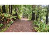 1221 Tenmile - Photo 40