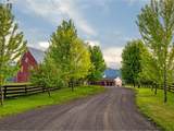 65254 Pine Tree Rd - Photo 37