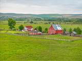 65254 Pine Tree Rd - Photo 43
