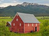 65254 Pine Tree Rd - Photo 44